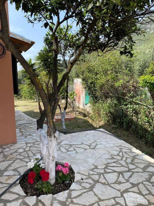 Casa Piccolino Villa Paramonas  Exterior foto